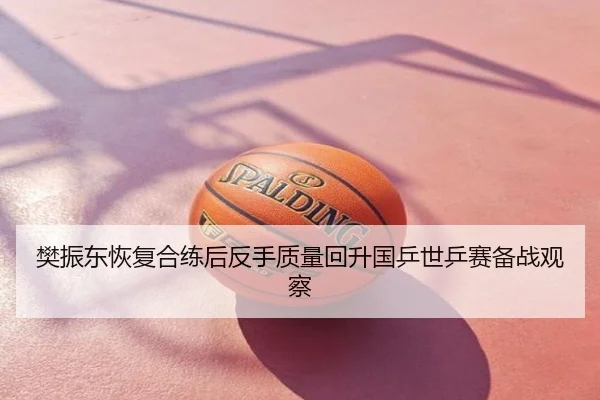 樊振东恢复合练后反手质量回升国乒世乒赛备战观察